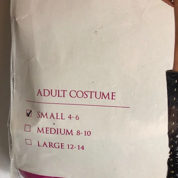 First Class Captain Costume from Spirit - Picture 13 of 16